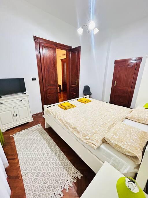 Appartamento Hidden Gem In The Old Town Timisoara Esterno foto